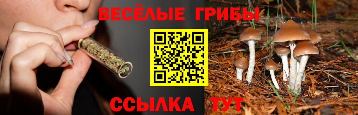 Галлюциногенные грибы мухоморы  Псилоцибиновые грибы Psilocybine cubensis  Екатеринбург  Вход с VPN 